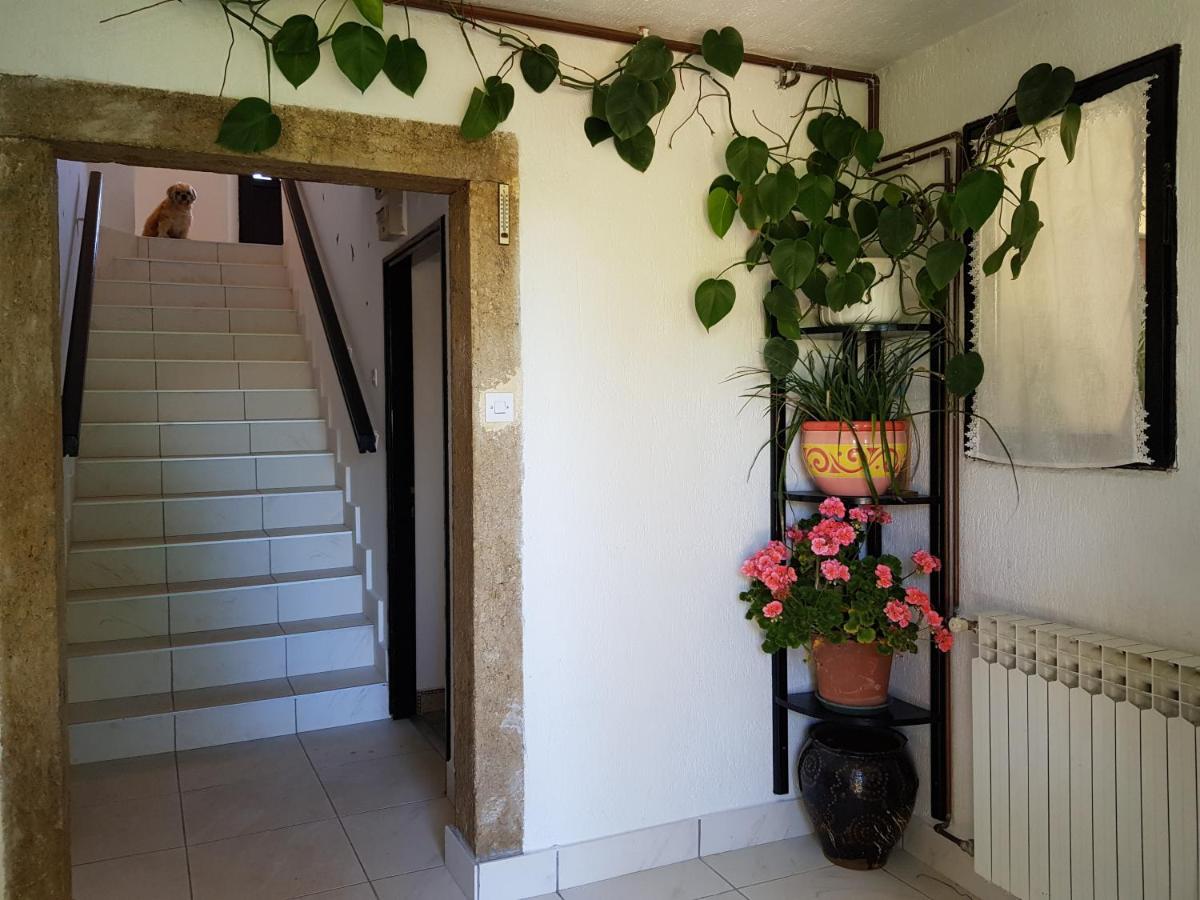 Apartment Melanie Skrbcici Экстерьер фото